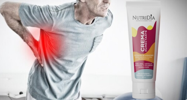 Cómo usar NutriDia: instrucciones