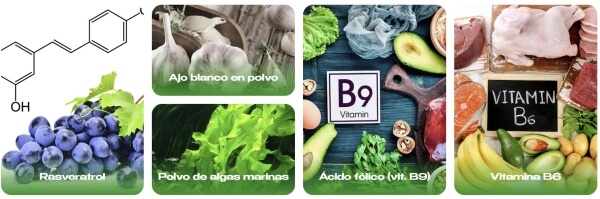 Composición e ingredientes