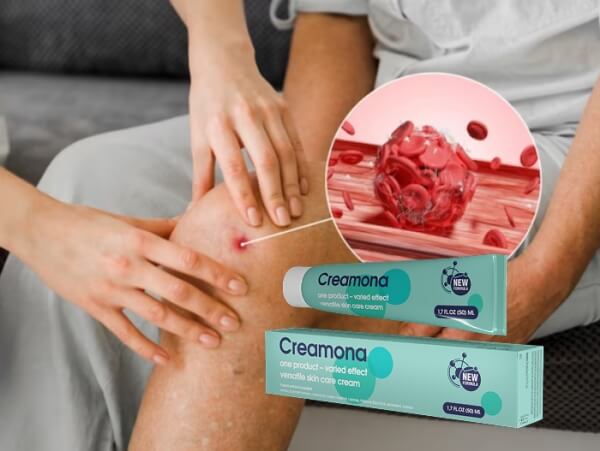 Cómo usar Creamona: instrucciones
