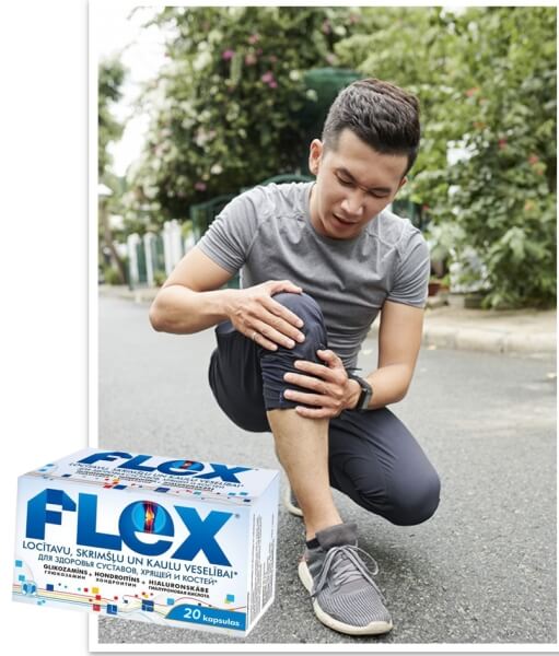 ¿Qué es Flex y cómo funciona?