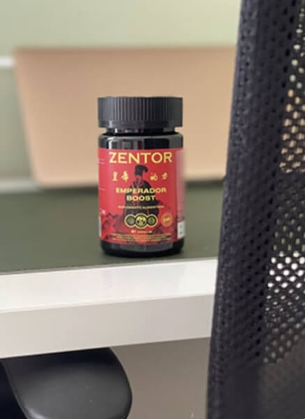 Cómo usar Zentor: instrucciones
