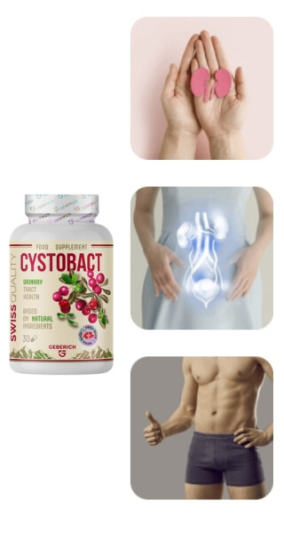 Cómo tomar Cystobact: instrucciones de uso, dosis y prospecto